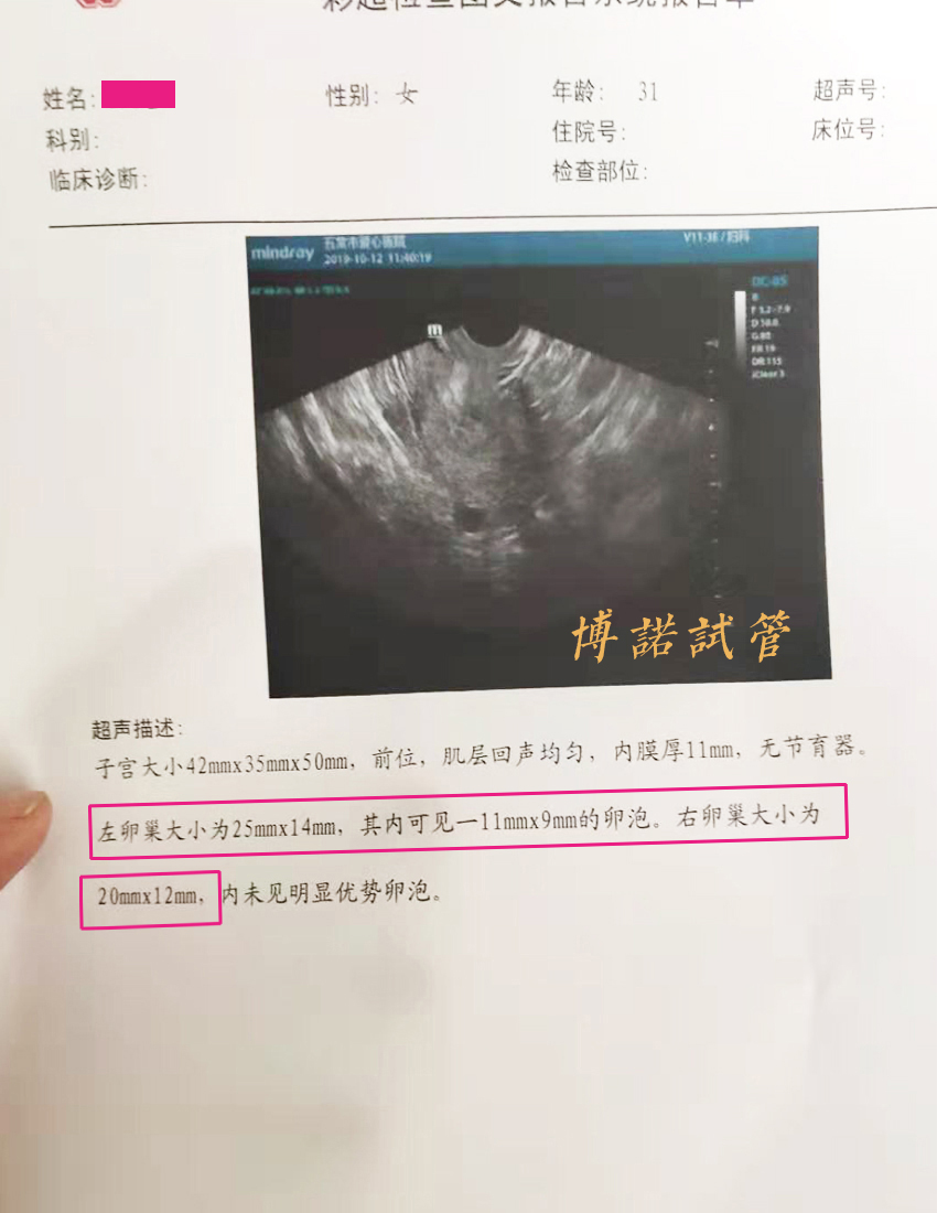 北京代孕中介.jpg