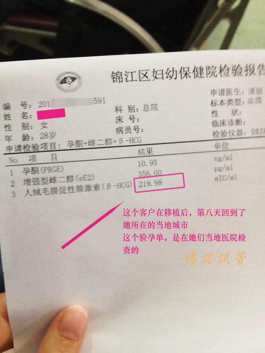 德国代孕试管婴儿.jpg