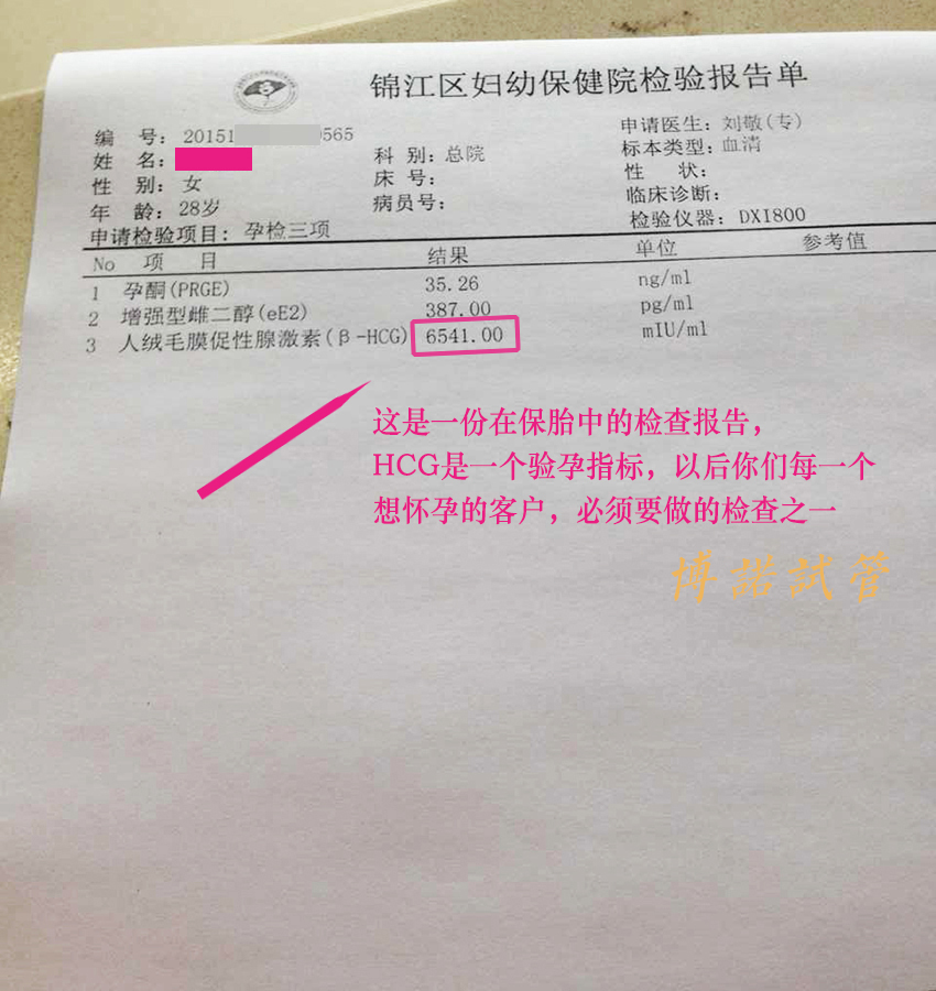 德国代孕妈妈招聘.jpg