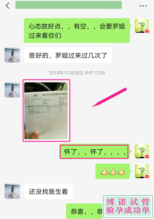 德国试管成功 - 只5个胚胎