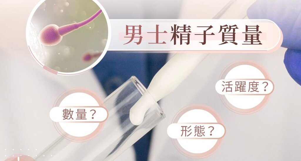 北京代孕机构：试管婴儿的实施步骤